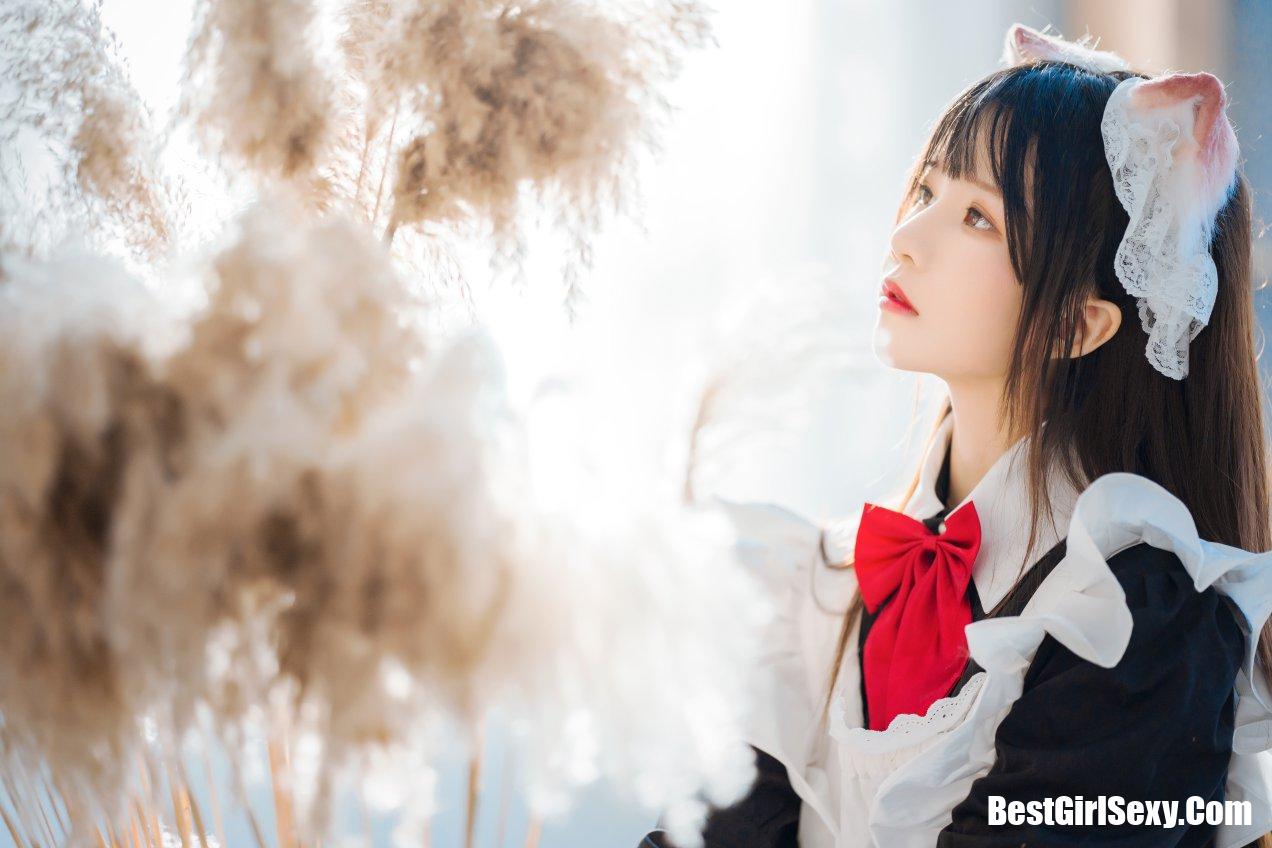 Coser@桜桃喵 Vol.113 长裙妹抖 2